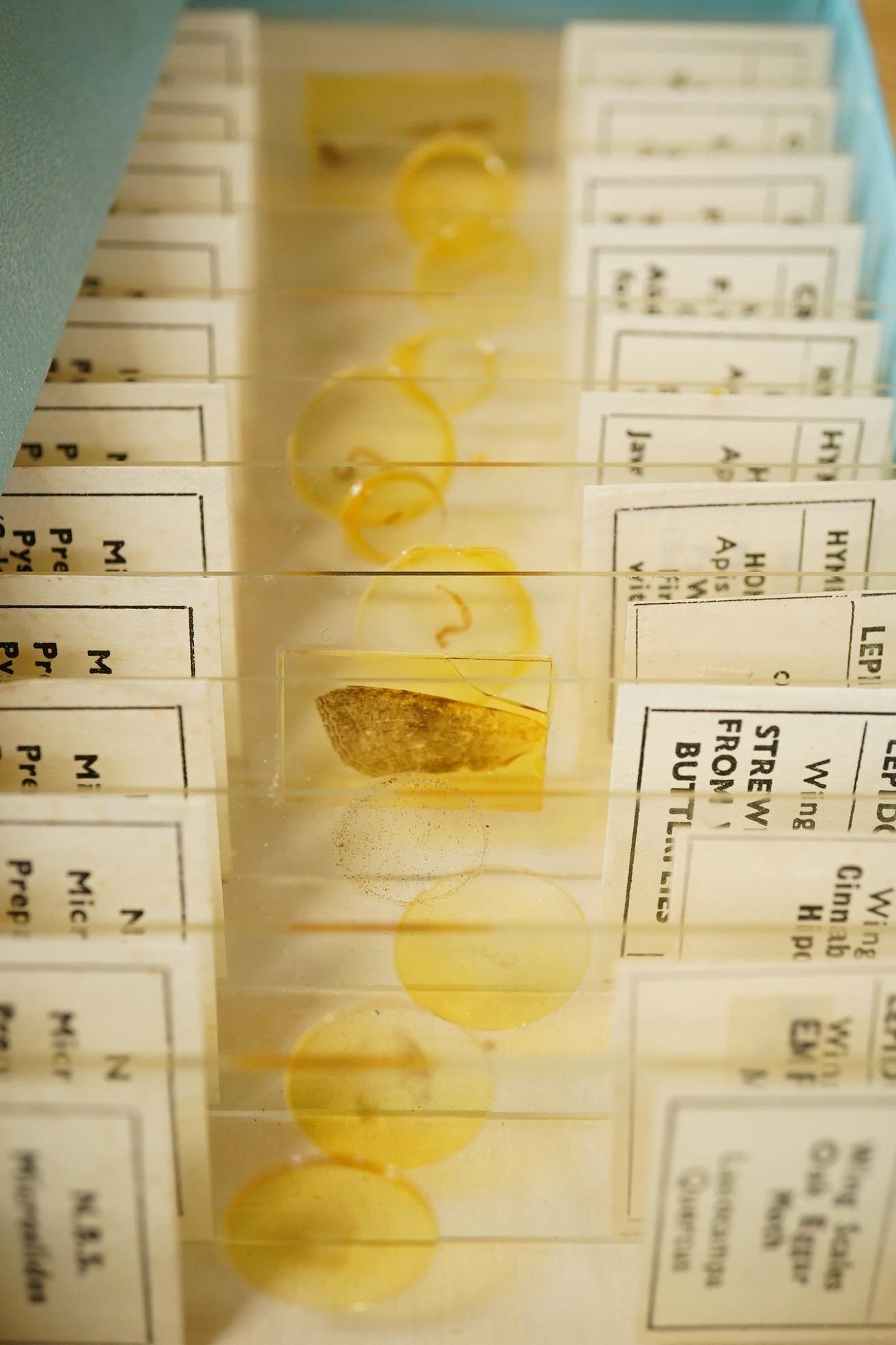 An early 20th century teak cased Ernst Leitz, Wetzlar brass and cast iron monocular microscope, serial no. 268264, with fitted interior to the case and card box of specimen slides, case dimensions; 36cm high, 19cm wide,